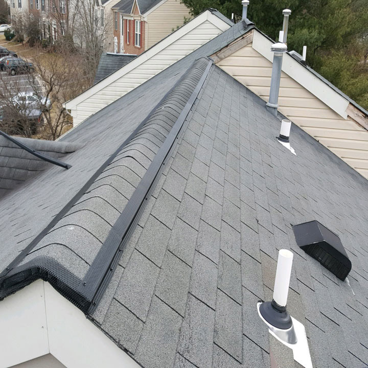 Repair Damage from Bats